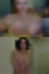 Where meet cougars Winchester