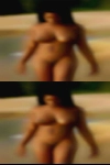 Swingers Sylvania